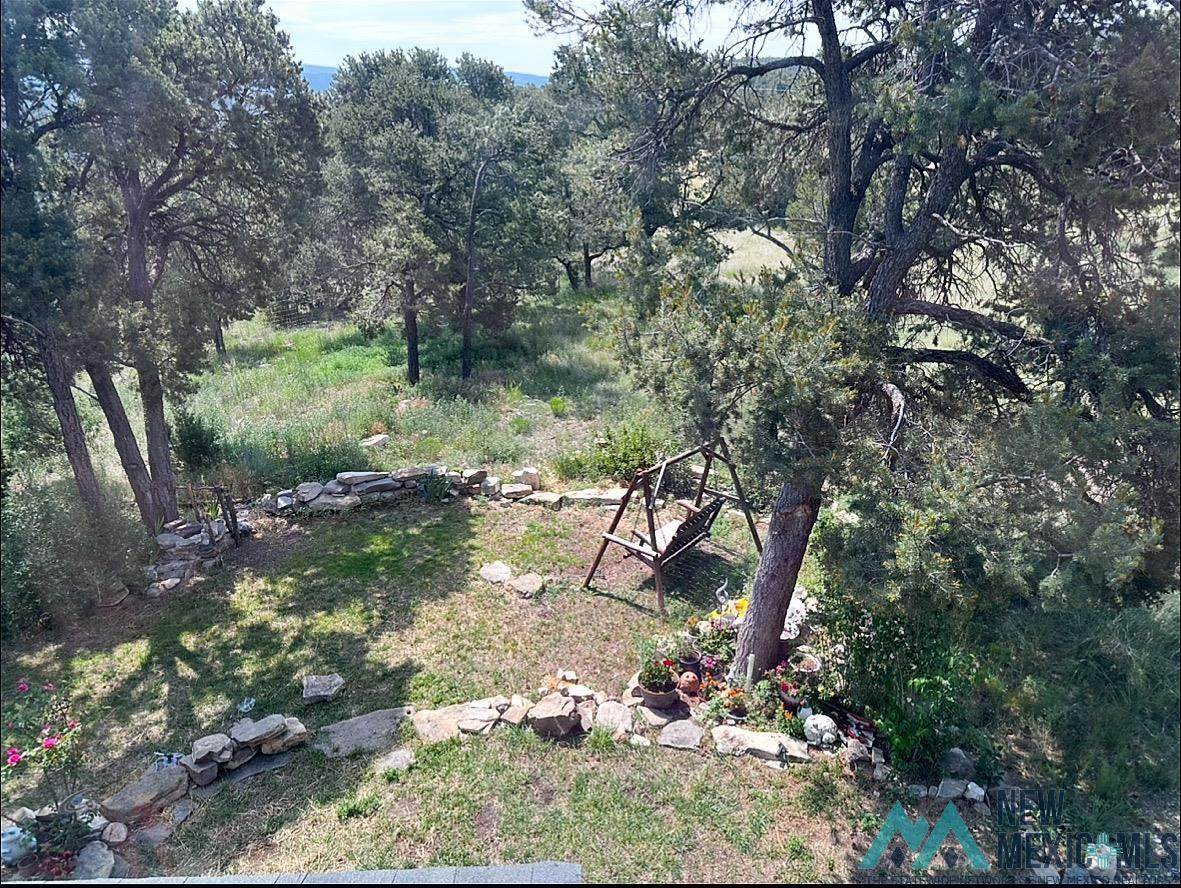 https://bt-photos.global.ssl.fastly.net/newmexico/orig_boomver_1_20263340-2.jpg