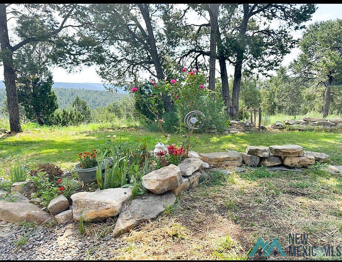 https://bt-photos.global.ssl.fastly.net/newmexico/orig_boomver_1_20263340-2.jpg
