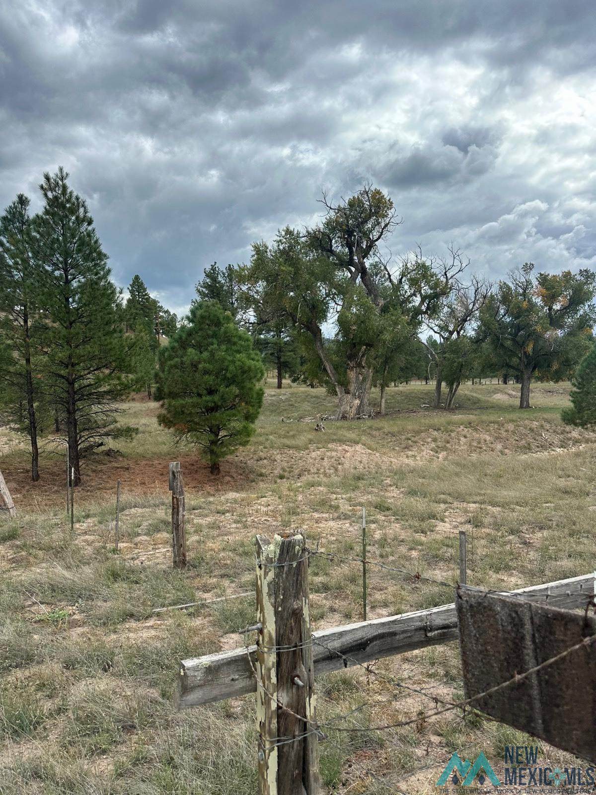https://bt-photos.global.ssl.fastly.net/newmexico/orig_boomver_1_20263354-2.jpg