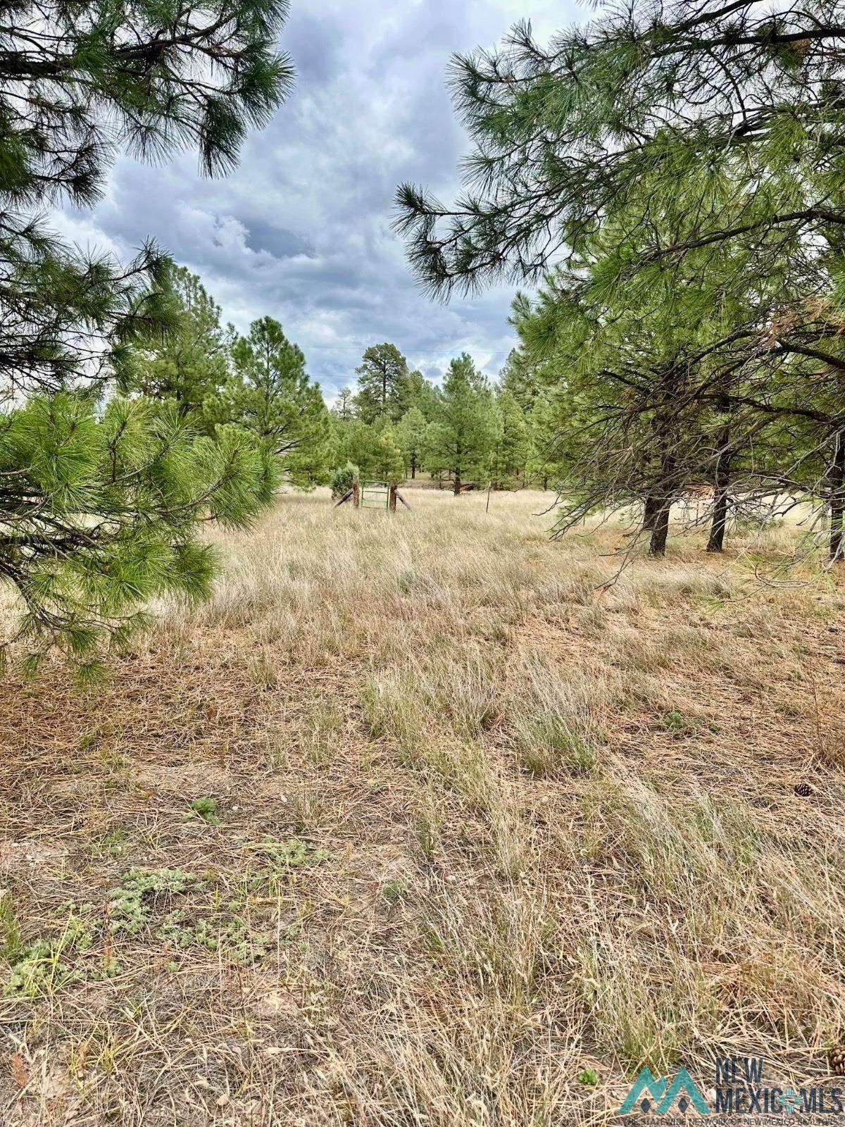 https://bt-photos.global.ssl.fastly.net/newmexico/orig_boomver_1_20263354-2.jpg