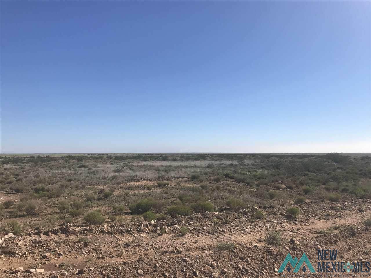 806 Chickasaw Street - Photo 1