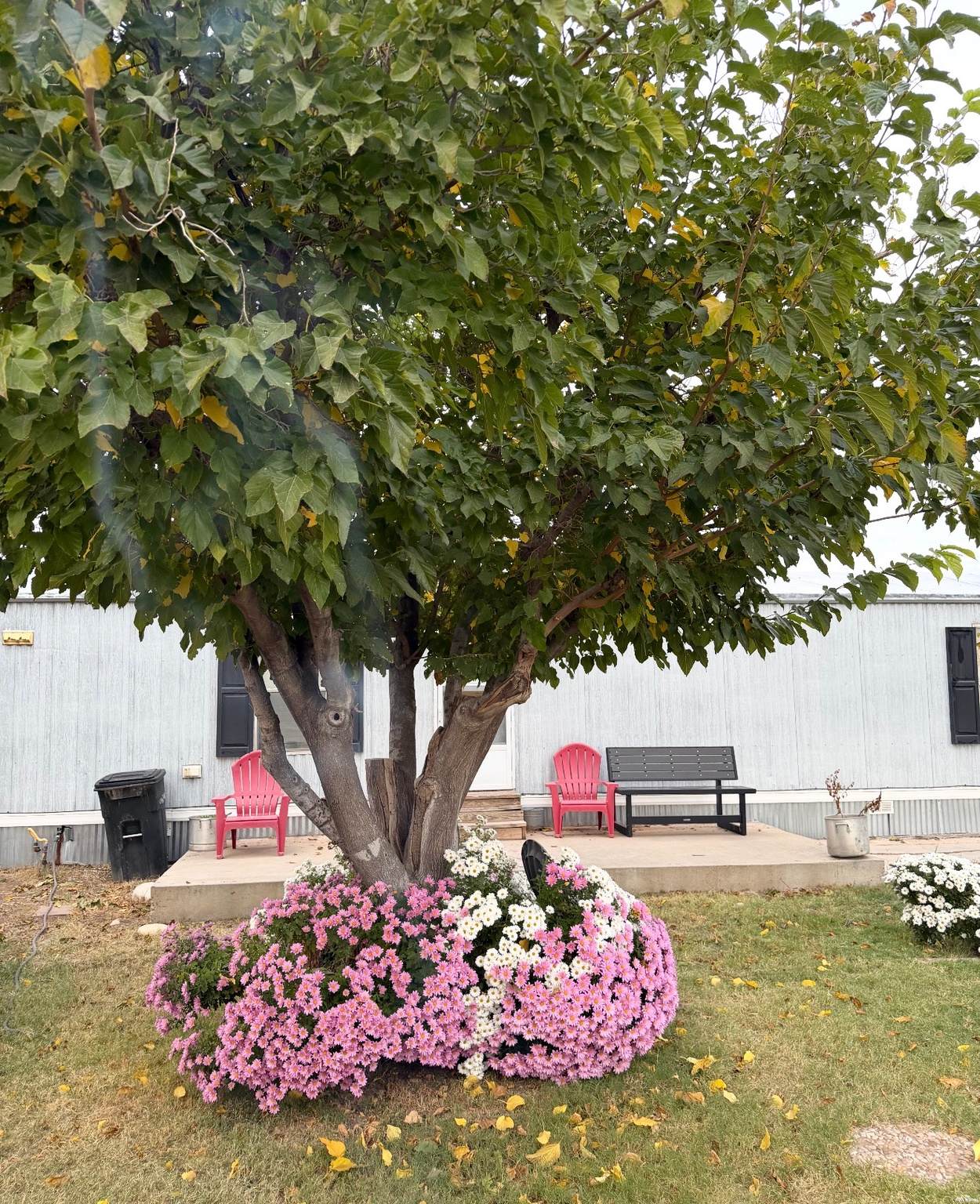https://bt-photos.global.ssl.fastly.net/newmexico/1280_boomver_1_26000463-1.jpg
