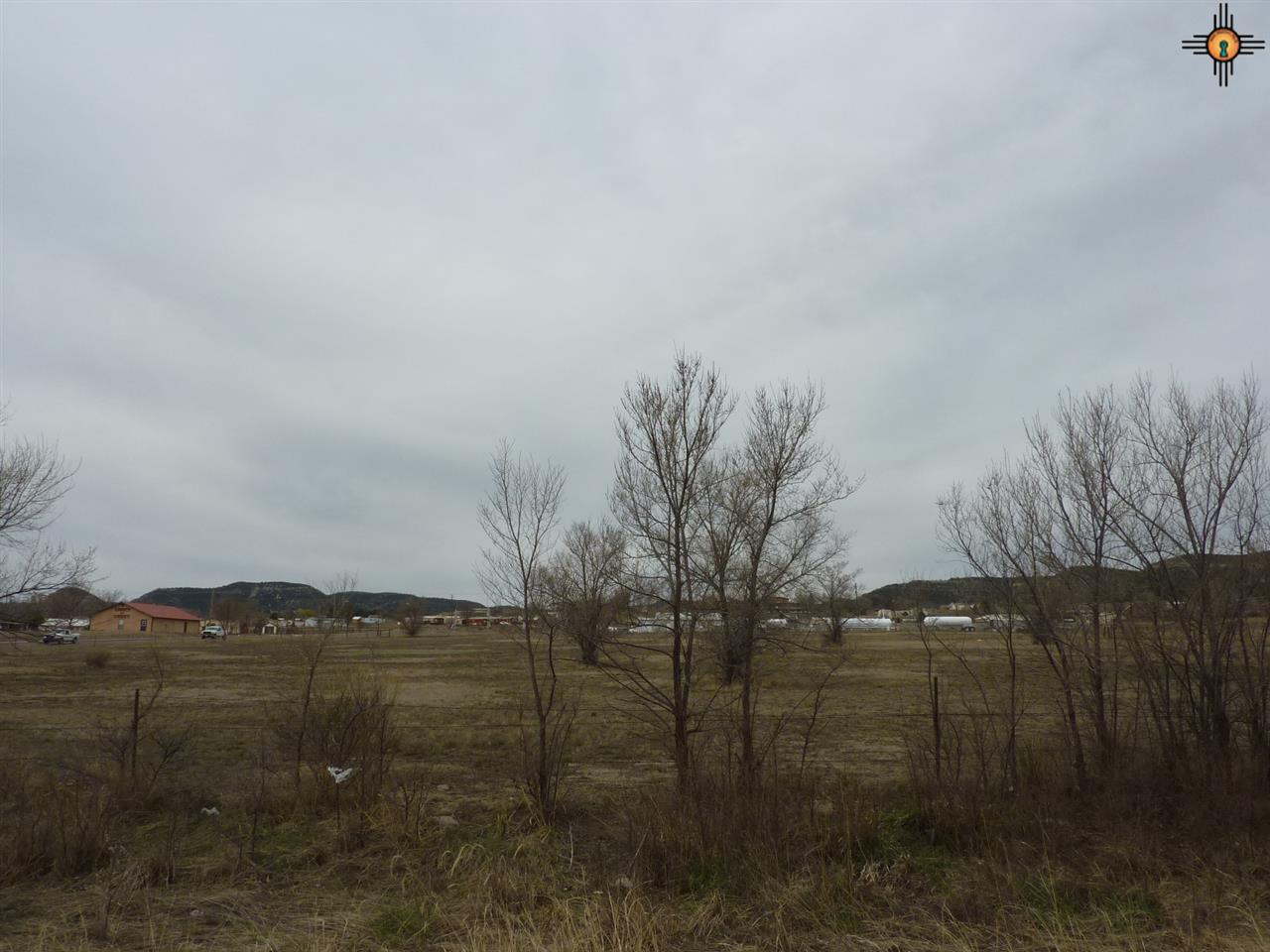 151 Tiger Drive - Photo 1