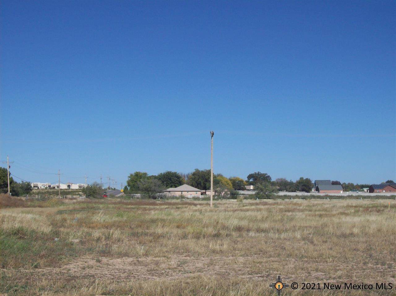 1002 Pistachio Trail - Photo 1