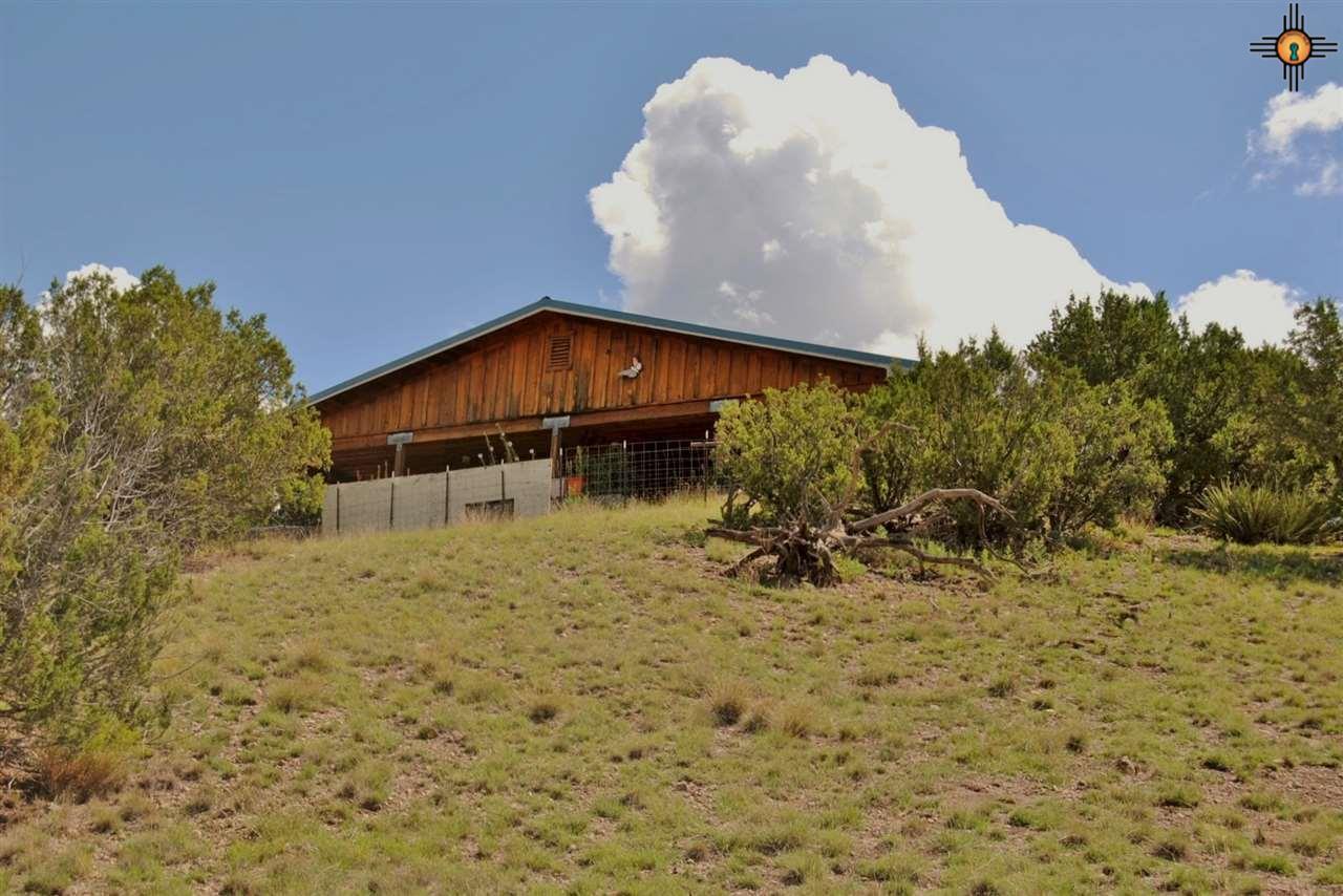 1136 Republic Road - Photo 1