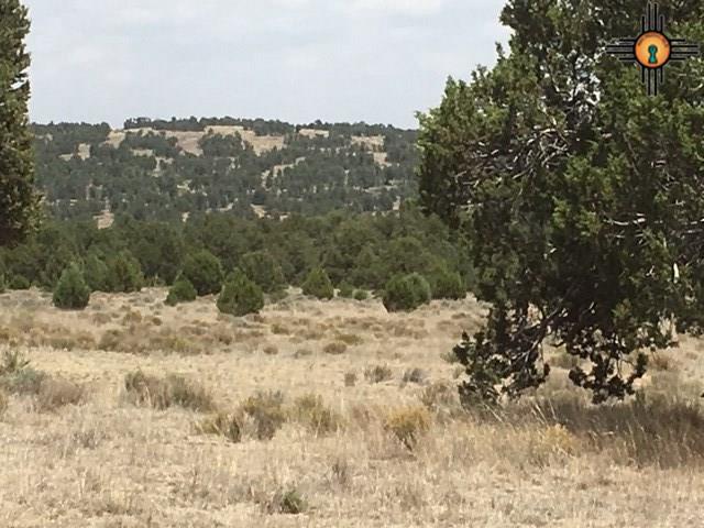 Lot 1C Tierra De Dios - Photo 1