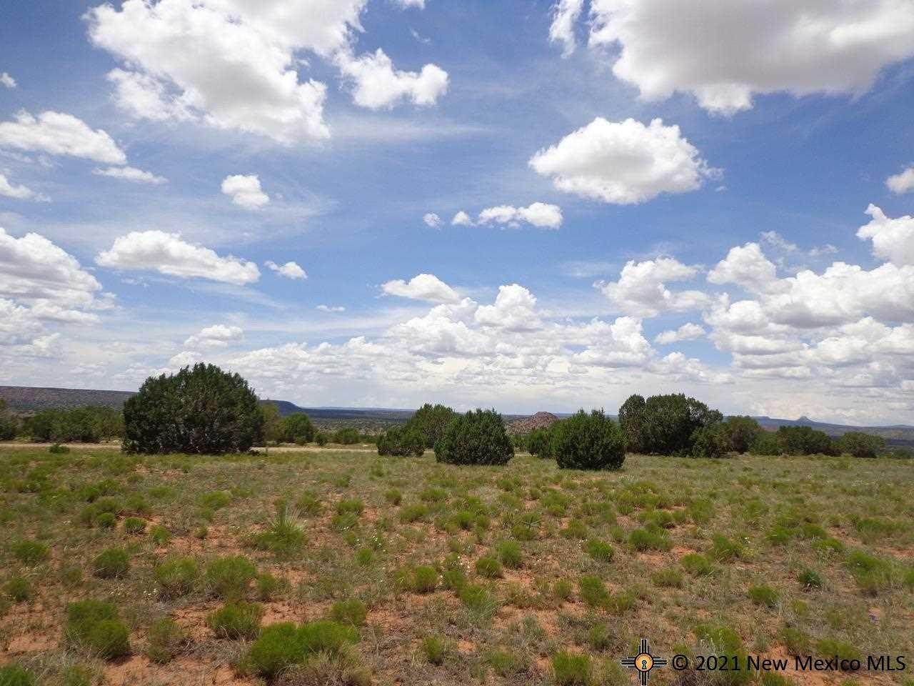 Tract 15 Moondance Ranch - Photo 1