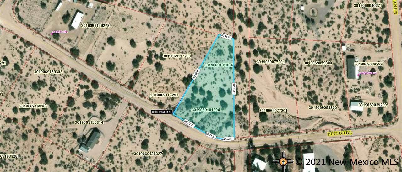 Lot 792 Pinto - Photo 1