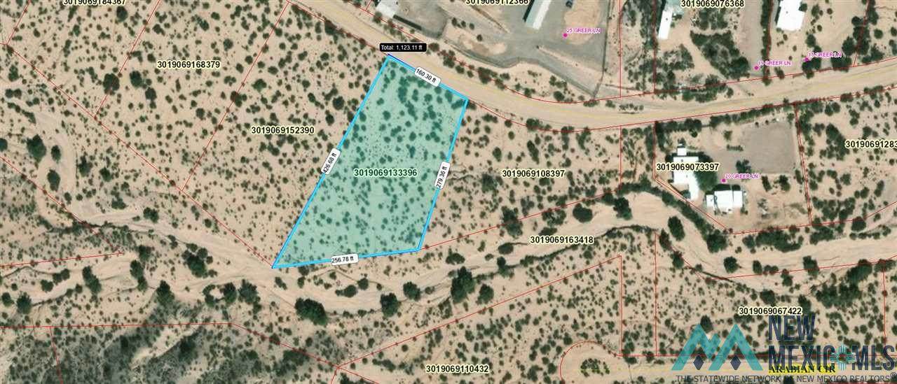 Lot 817 Greer Lane - Photo 1