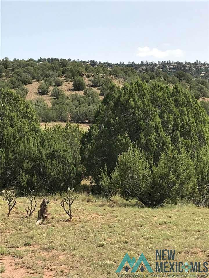 CR B27 Tracts C3 & C4 Roads - Photo 1