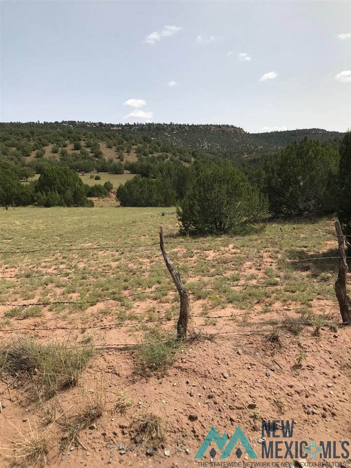 https://bt-photos.global.ssl.fastly.net/newmexico/orig_boomver_2_20204149-2.jpg