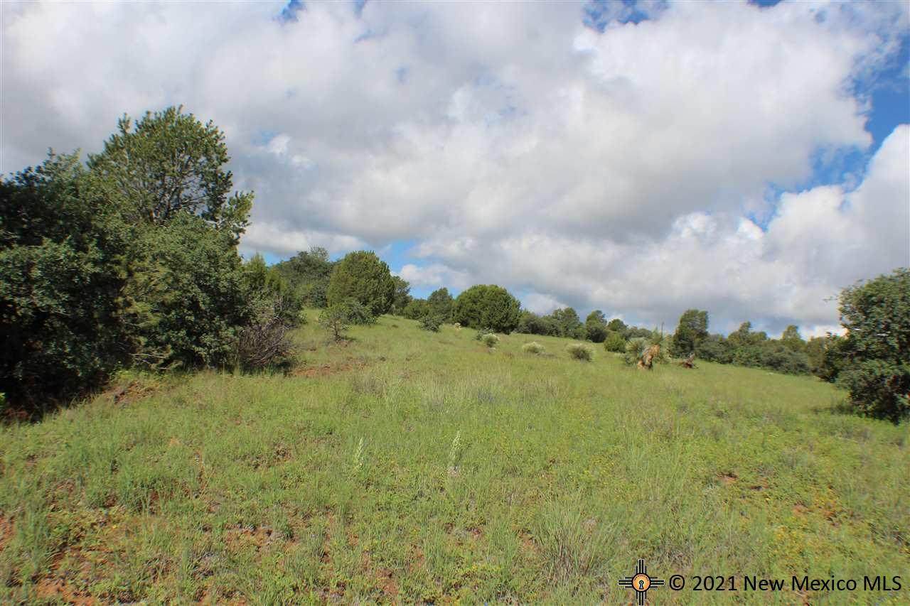 91xxx Hideaway Trail - Photo 1