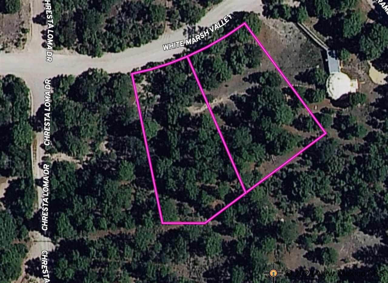 34 Whitemarsch Valley Dr. - Photo 1