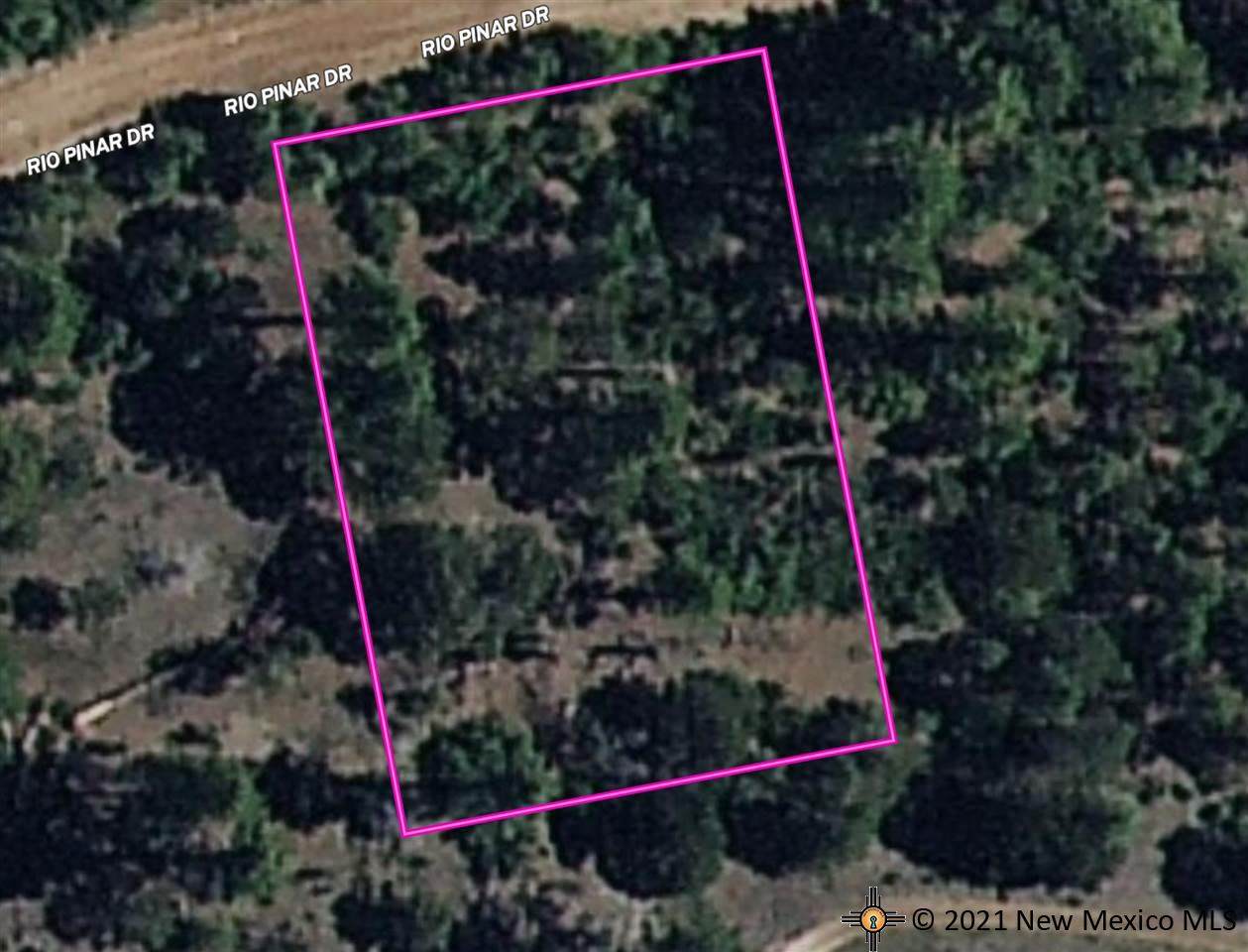 107 Rio Pinar - Photo 1