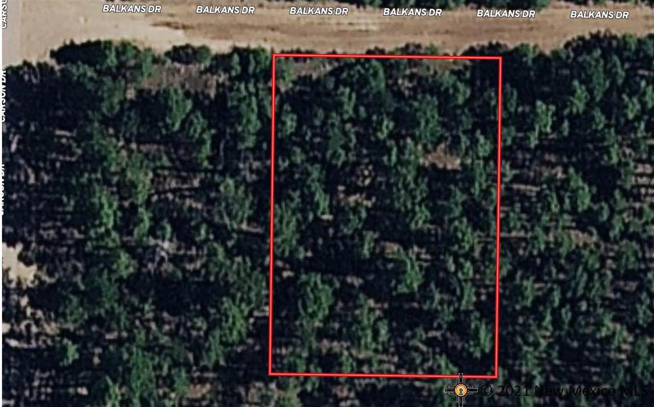 215 Balkans Dr - Photo 1