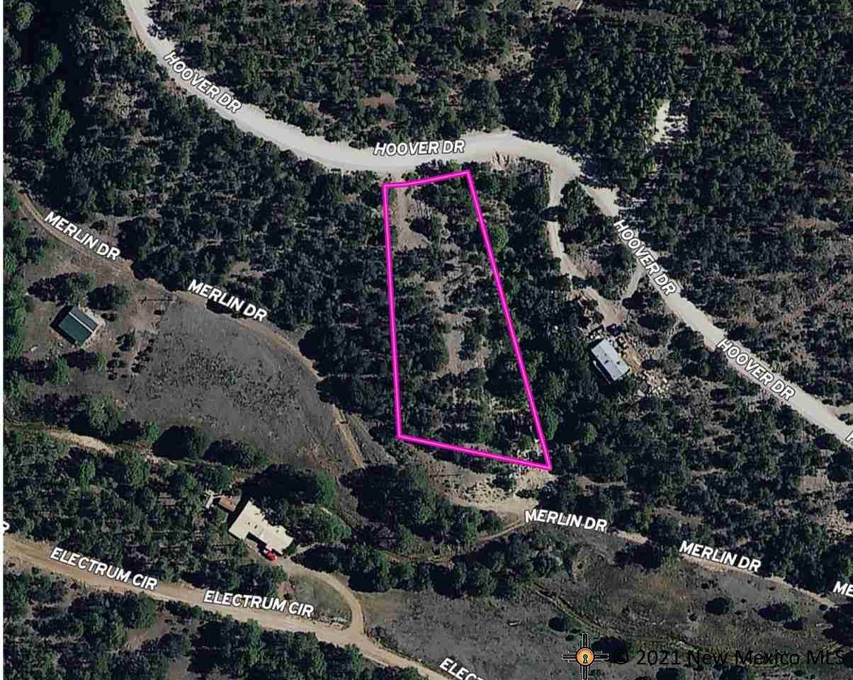 Lot 19 Hoover - Photo 1