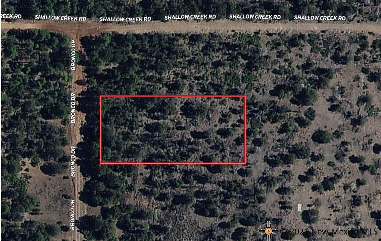 9 Bronco Dr - Photo 1
