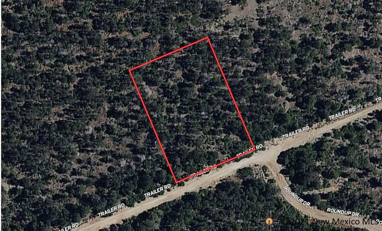 160 Trailer Rd - Photo 1