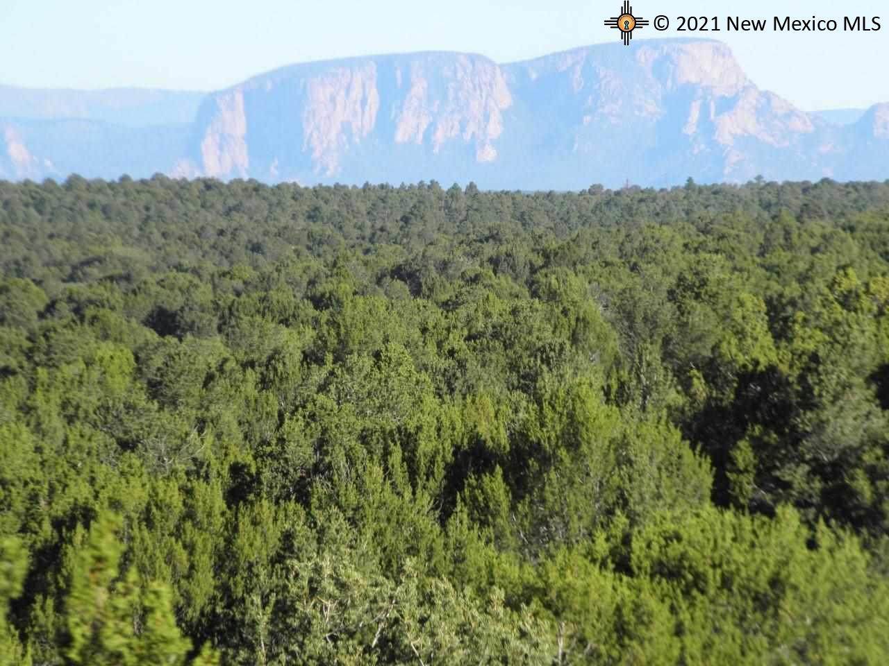 14+/-ac Cedar Hill - Photo 1