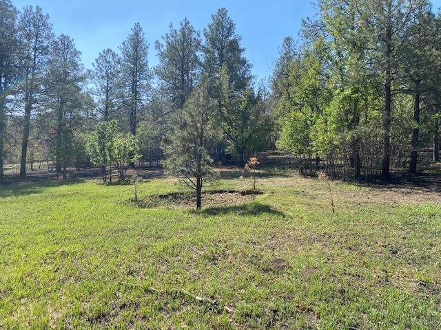 Lot 34-36 Avenida Securidad (Pendaries Village Hoa) - Photo 1