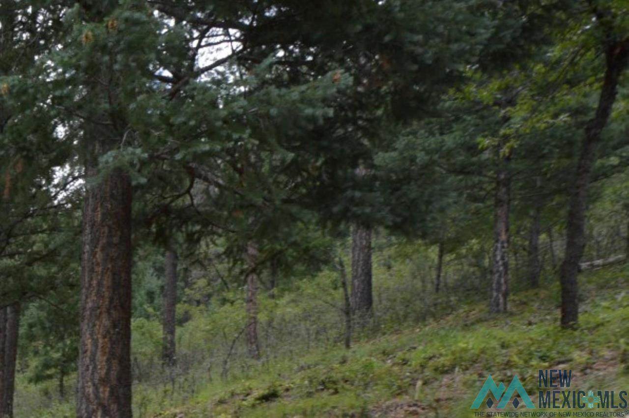 Lots 11-13 Camino Facil - Photo 1