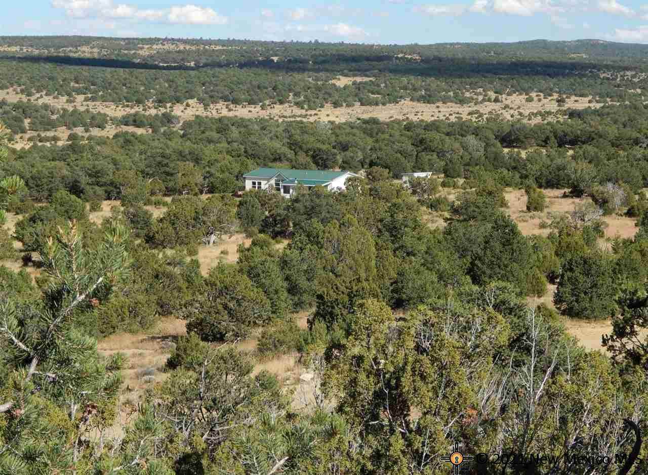 58 Ponderosa Ranches - Photo 1