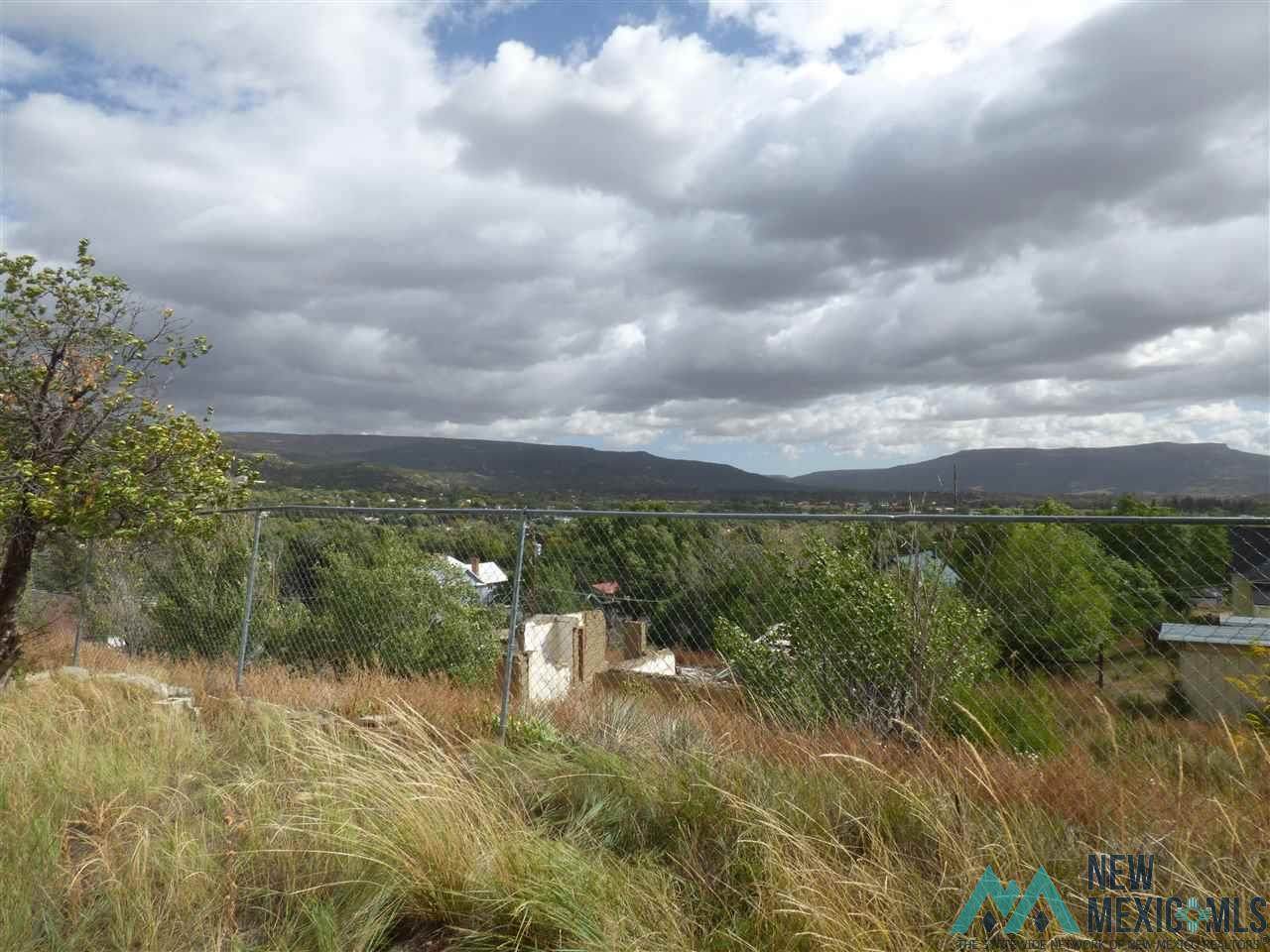 527 Parsons - Photo 1