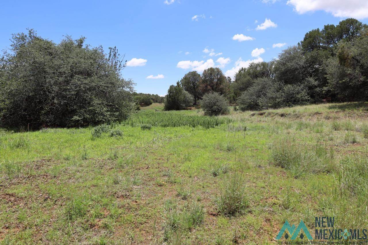 xx Wagon Ridge - Photo 1