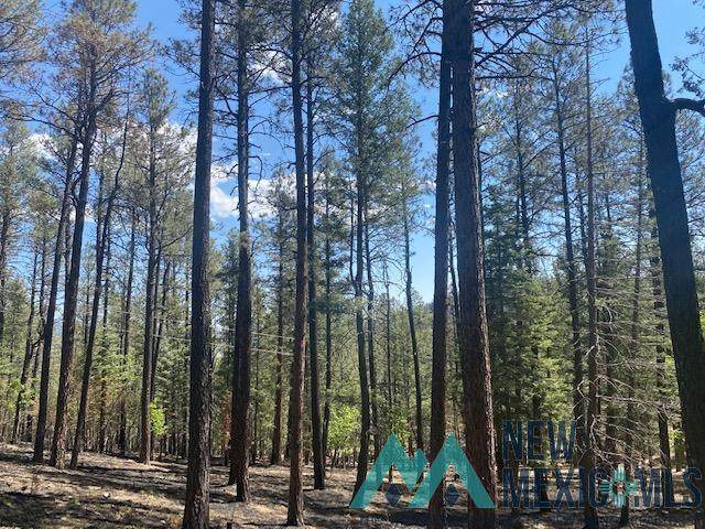 Lot 11 Aspen (Pendaries Village Hoa) - Photo 1