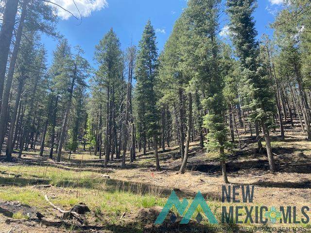Lot 12 Aspen (Pendaries Village Hoa) - Photo 1