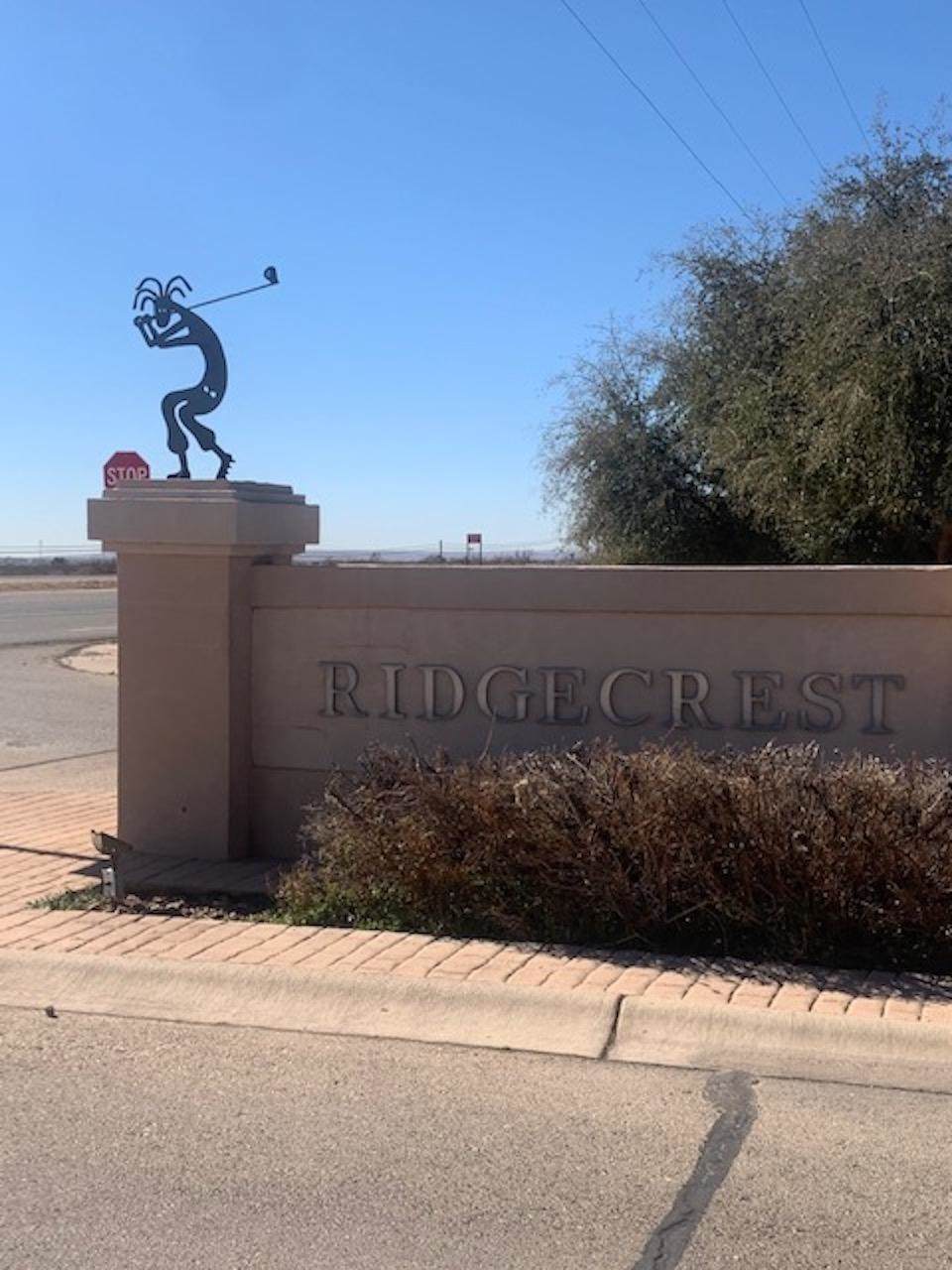 N of 713 Ridgecrest Drive Drive - Photo 1