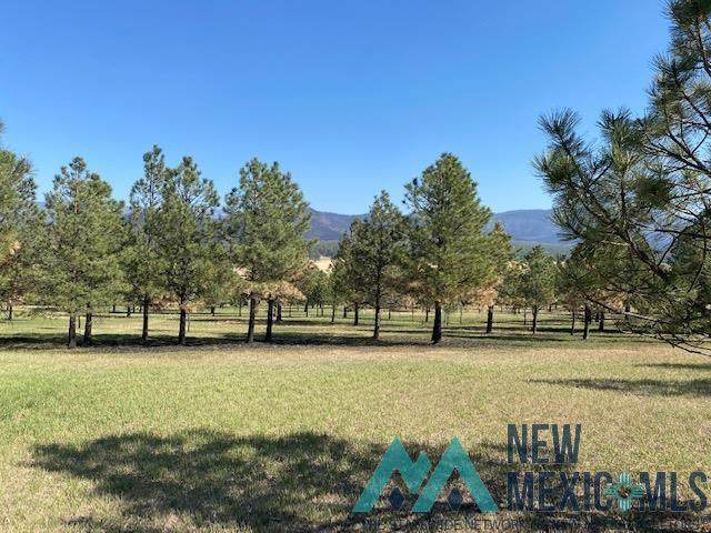 Lot 110-112 Canuto - Photo 1