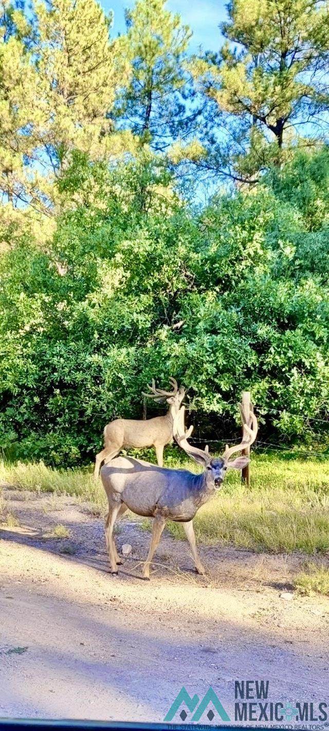 000 Sr 512 Highway - Photo 1