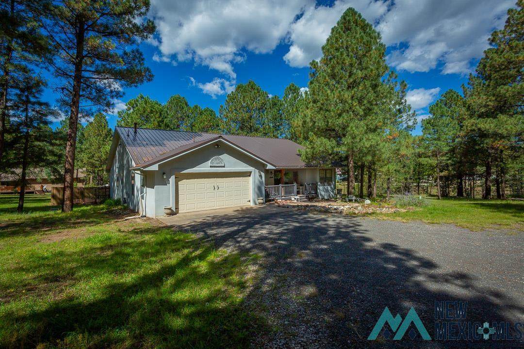 151 Alto Pines Trail - Photo 1