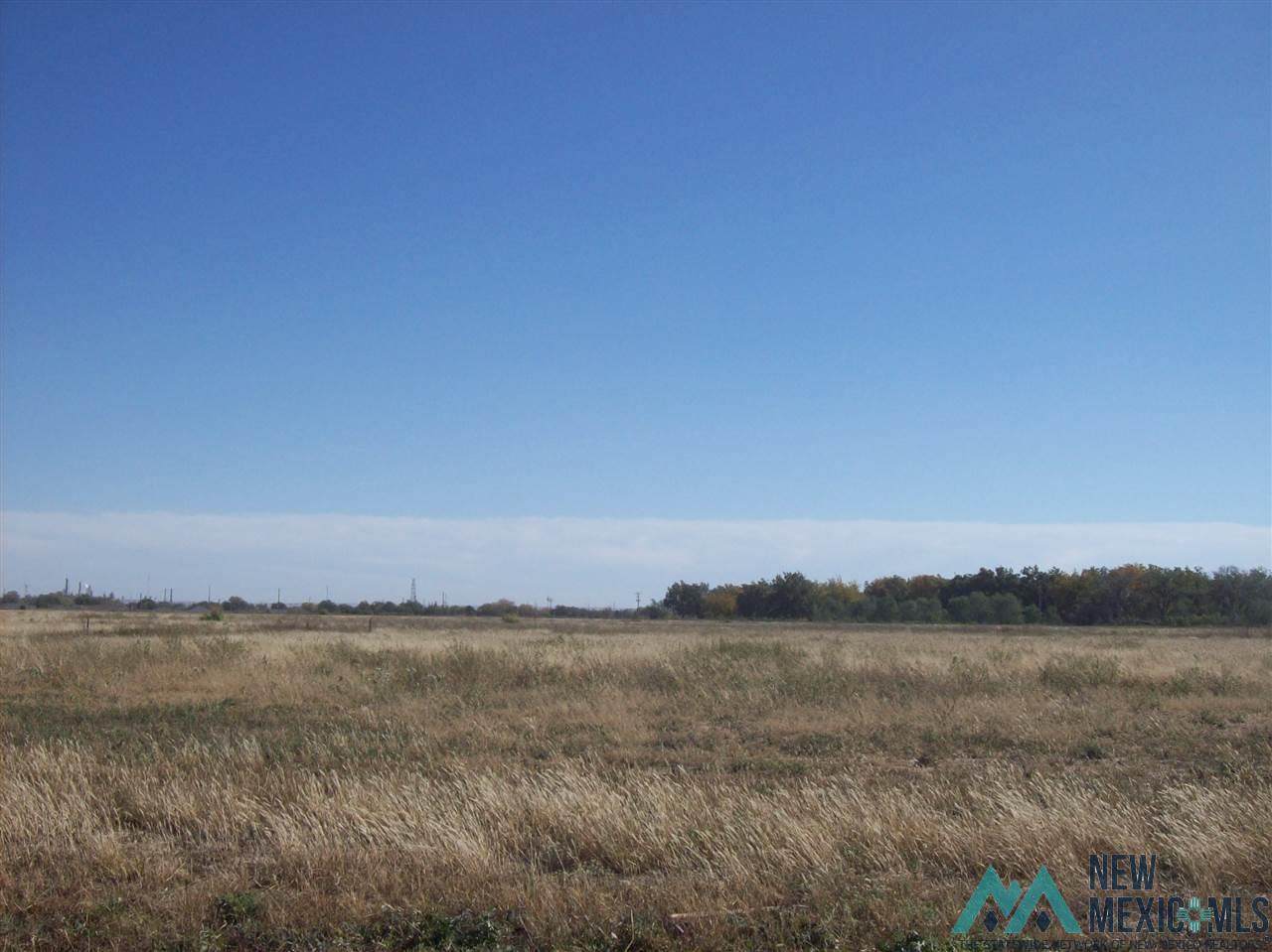 1006 Pistachio Trail - Photo 1
