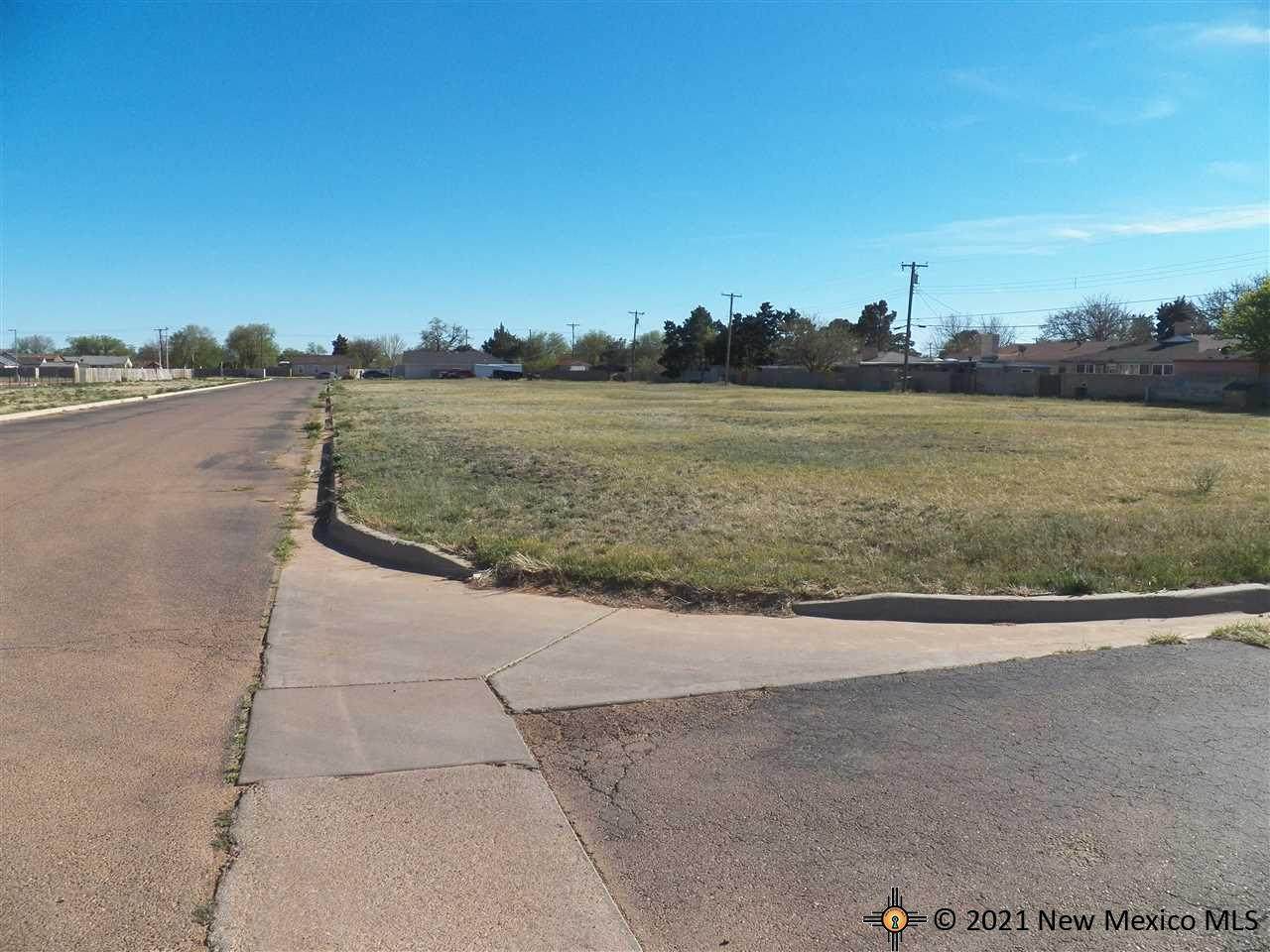 1424 Long Island Dr. - Photo 1