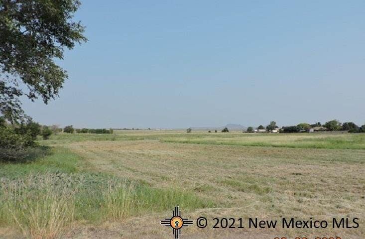 1 Truman Drive - Photo 1