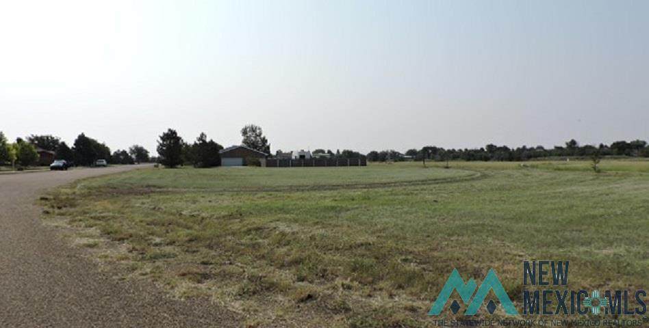 26 Jenkins Drive Drive - Photo 1