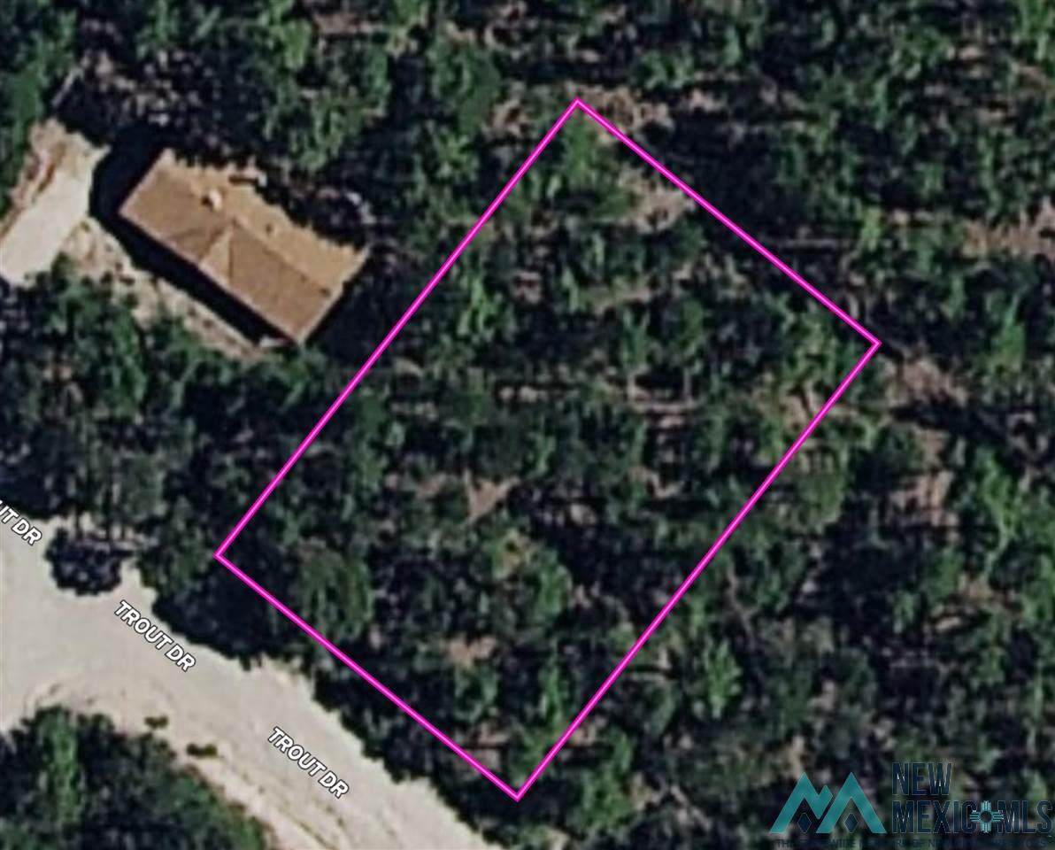 209 Trout Dr - Photo 1
