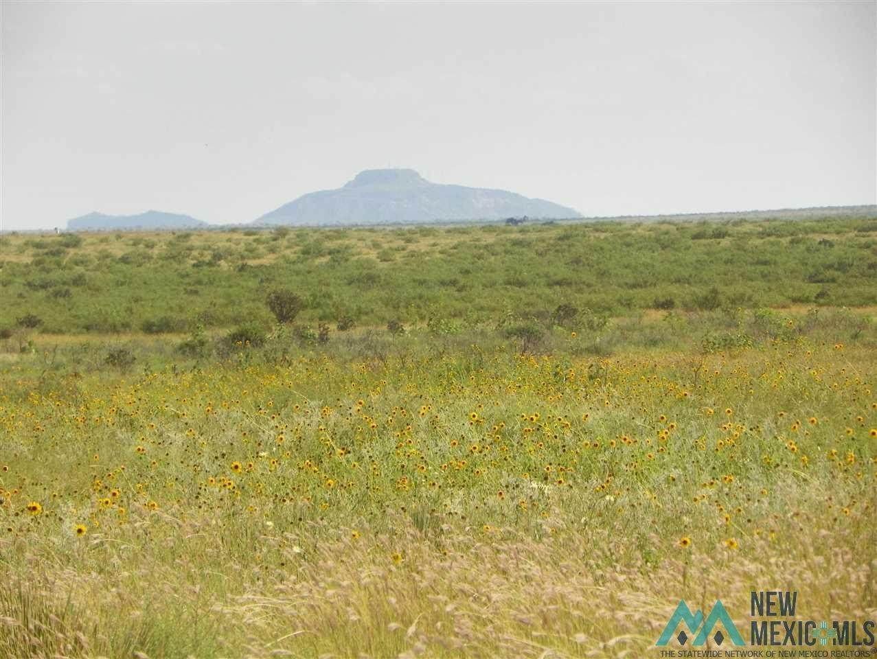 https://bt-photos.global.ssl.fastly.net/newmexico/orig_boomver_3_20214210-1.jpg