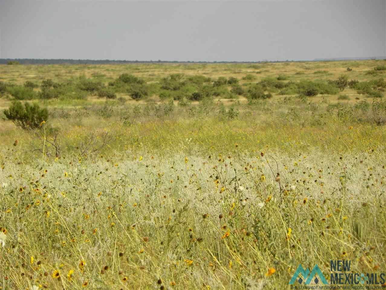 https://bt-photos.global.ssl.fastly.net/newmexico/orig_boomver_3_20214214-1.jpg