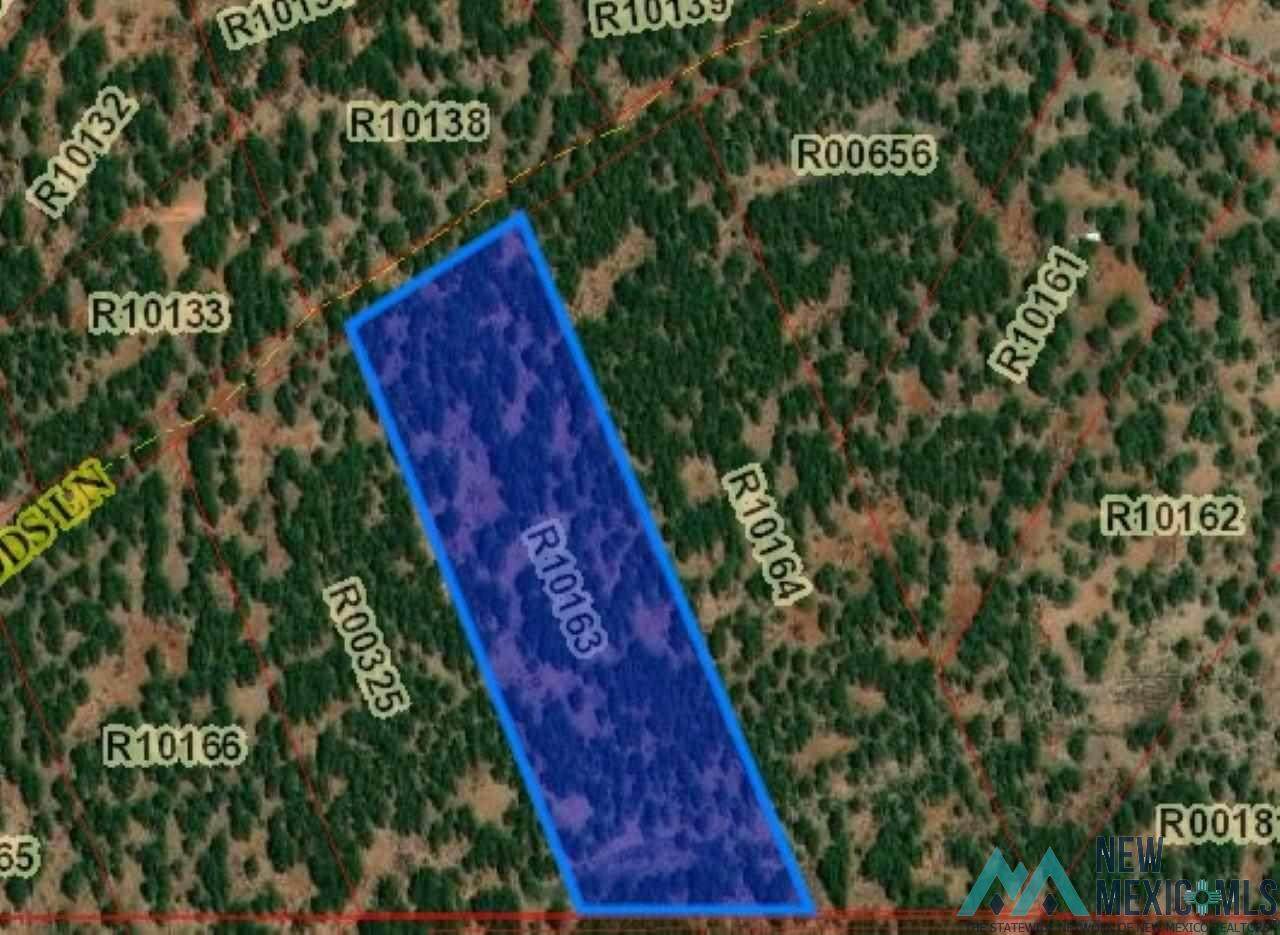 Lot 34B Mcgaffey Pines - Photo 1