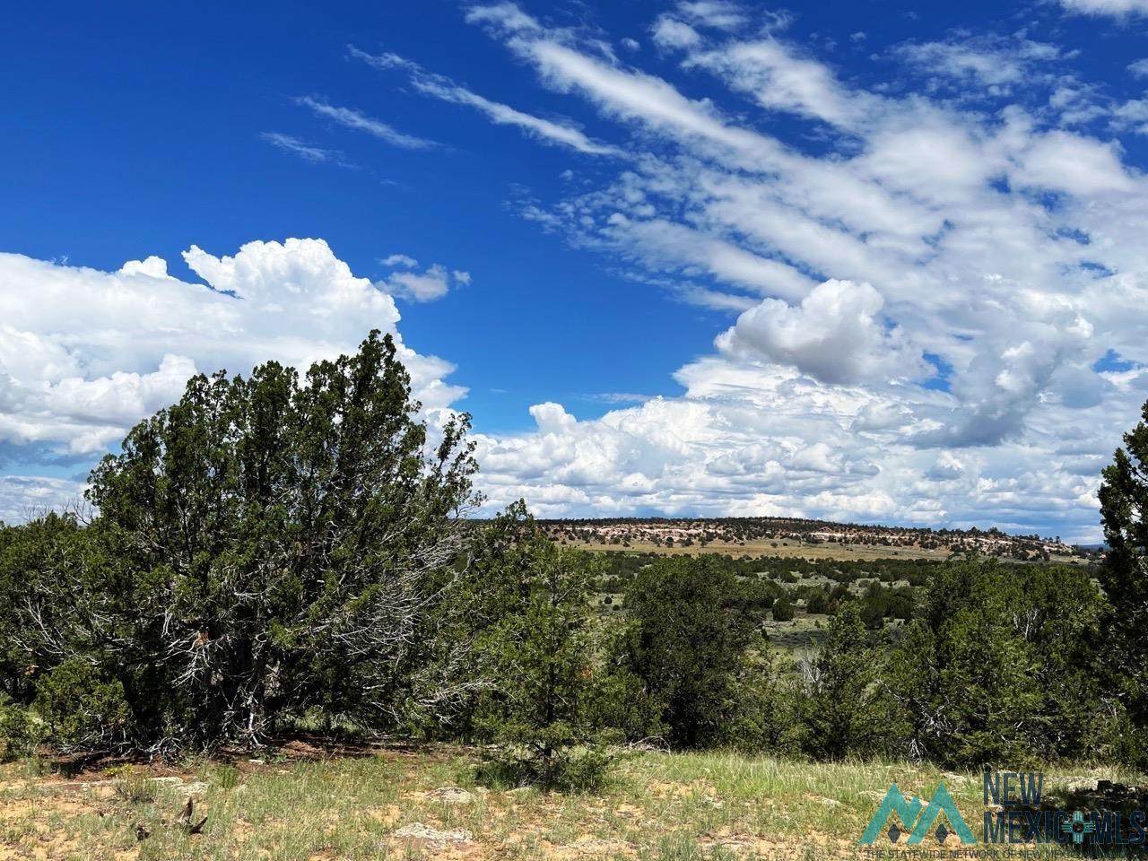 0 Hwy 53 - Photo 1