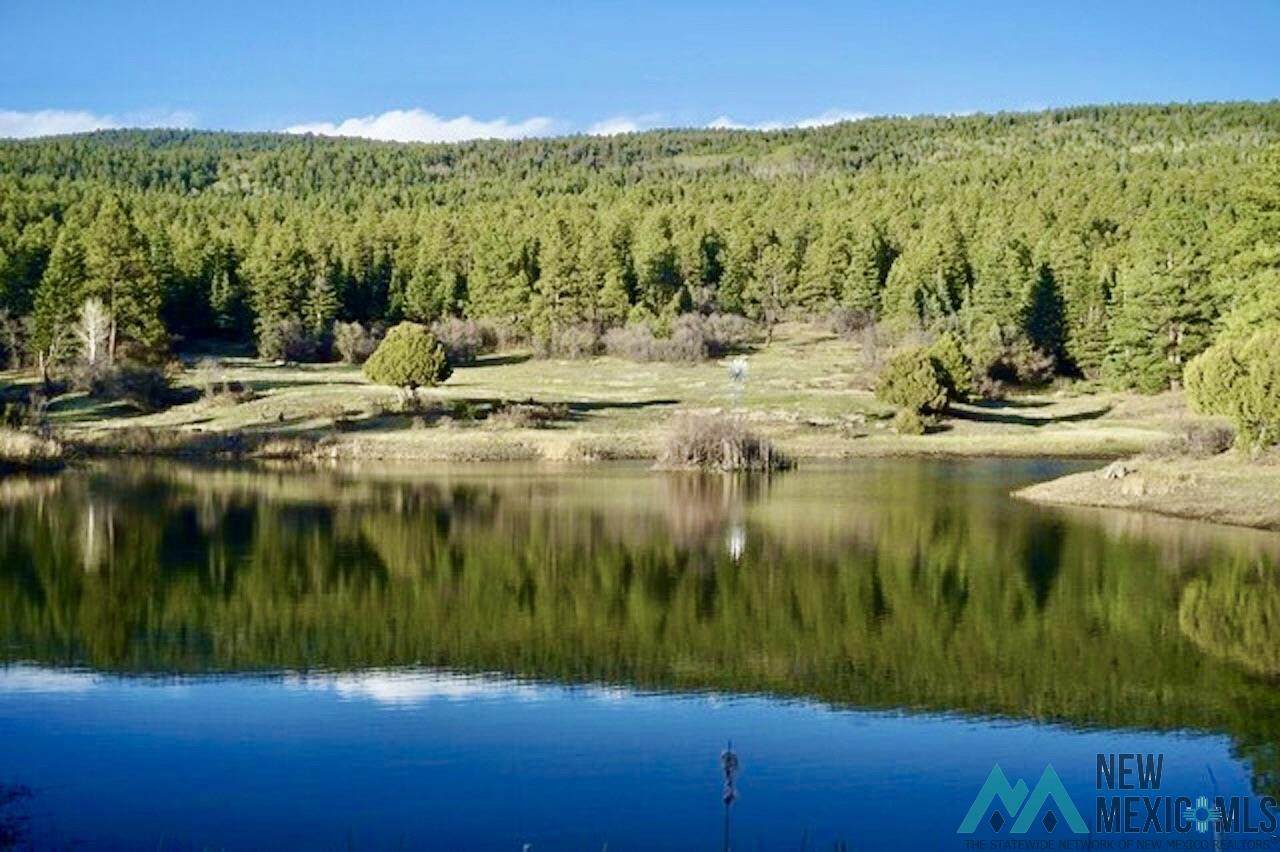 https://bt-photos.global.ssl.fastly.net/newmexico/orig_boomver_3_20252915-2.jpg