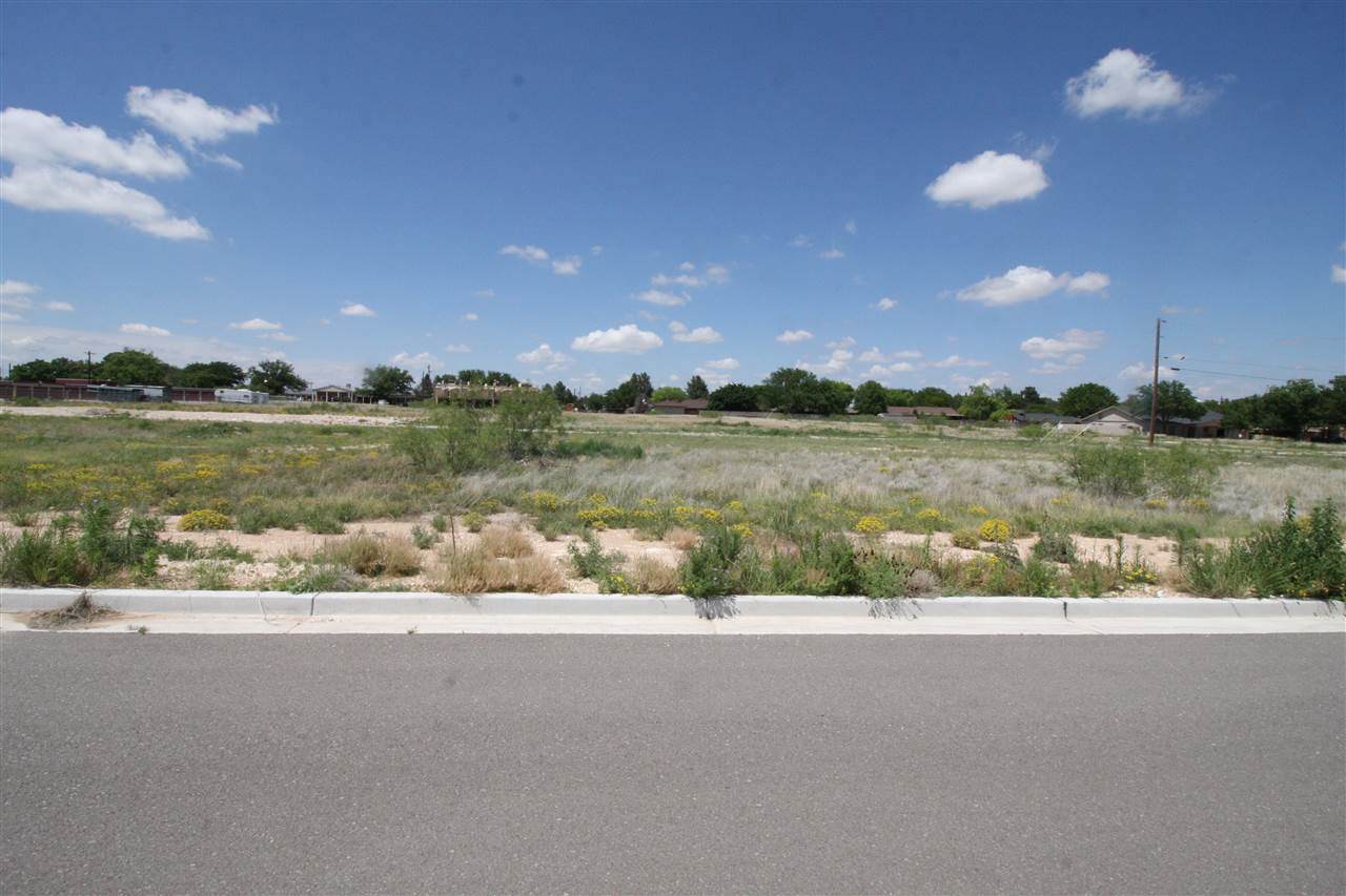 lot 8A block 8 Avenue K - Photo 1