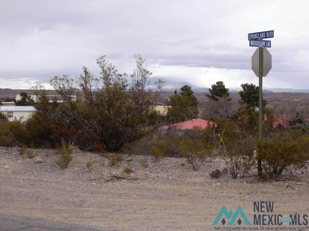 00 Springland Drive - Photo 1