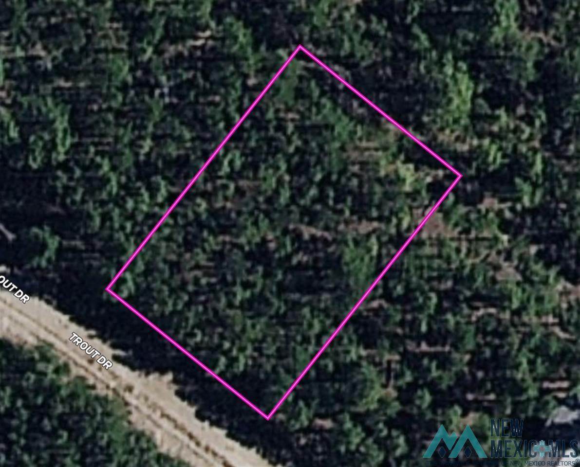 193 Trout Dr - Photo 1