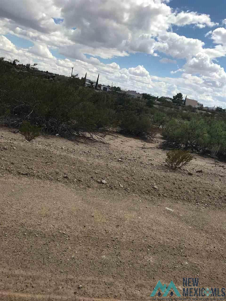 102 Cimmarron - Photo 1