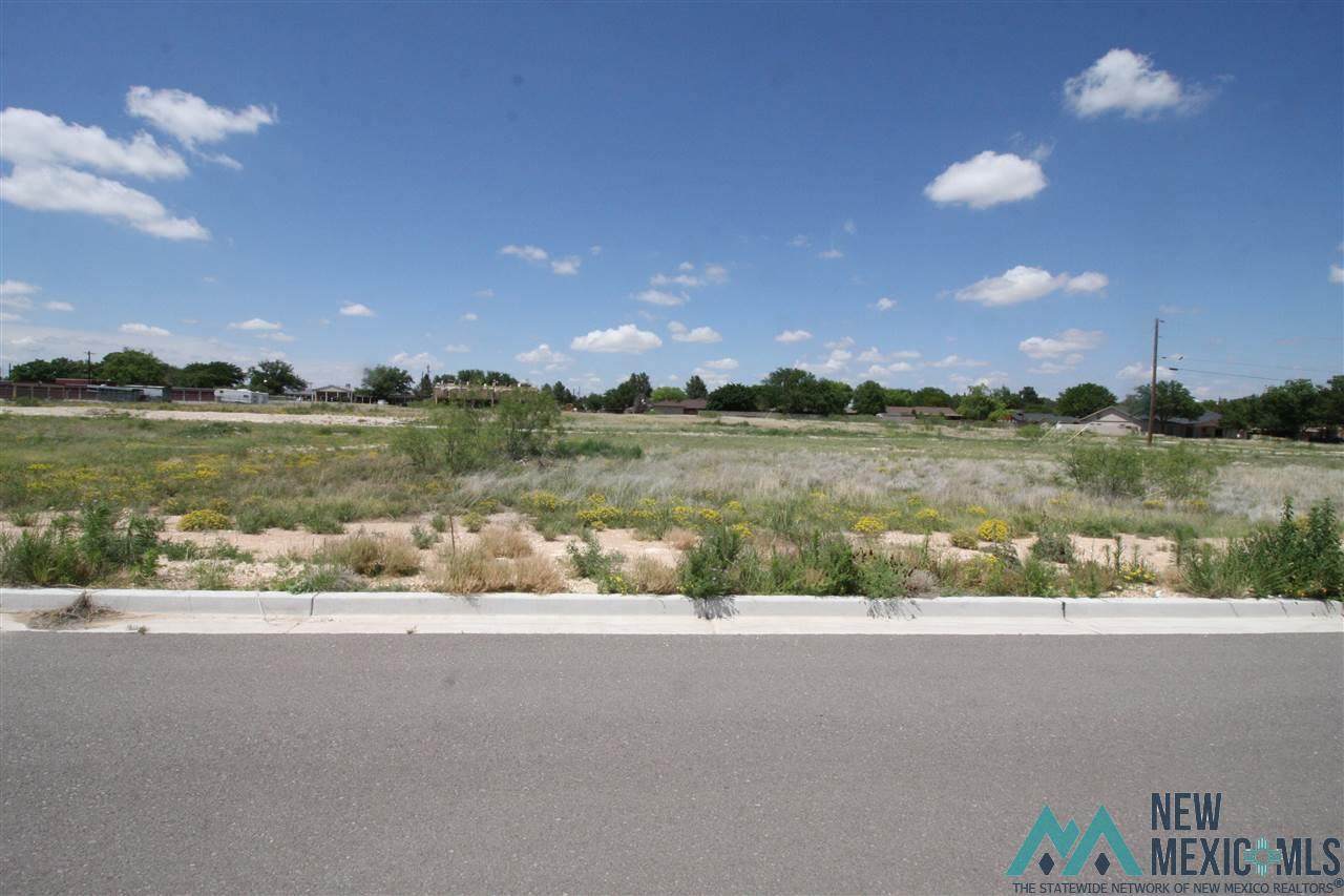 lot 8A block 8 Avenue K Street - Photo 1