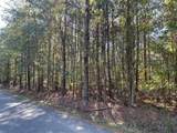 Lot 6 Big Lake Road - Photo 1